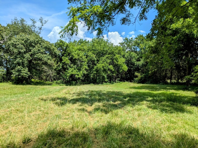 13802 E State Highway 76, Taneyville, MO 65759 - view of yard featuring a wooded view