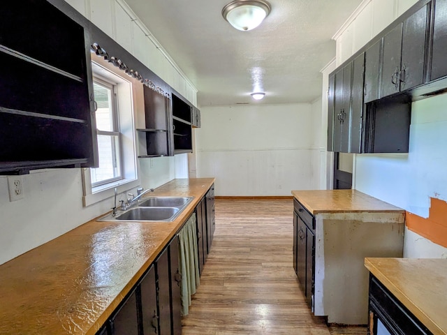 13802 E State Highway 76, Taneyville, MO 65759 - kitchen with light wood-style flooring, open shelves, and white cabinetry