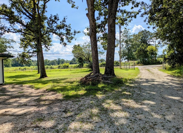 13802 E State Highway 76, Taneyville, MO 65759 - view of yard