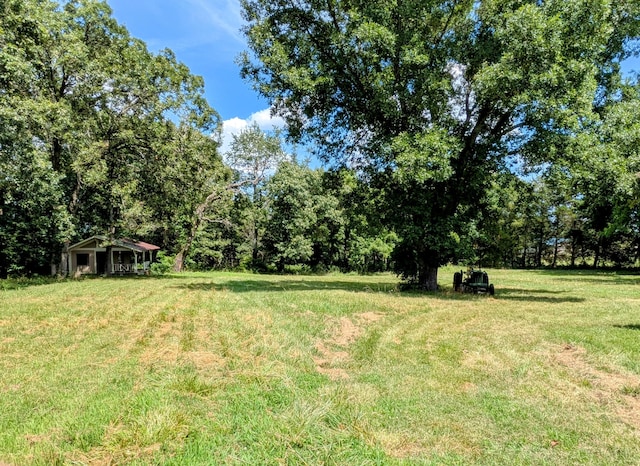 13802 E State Highway 76, Taneyville, MO 65759 - view of grassy yard