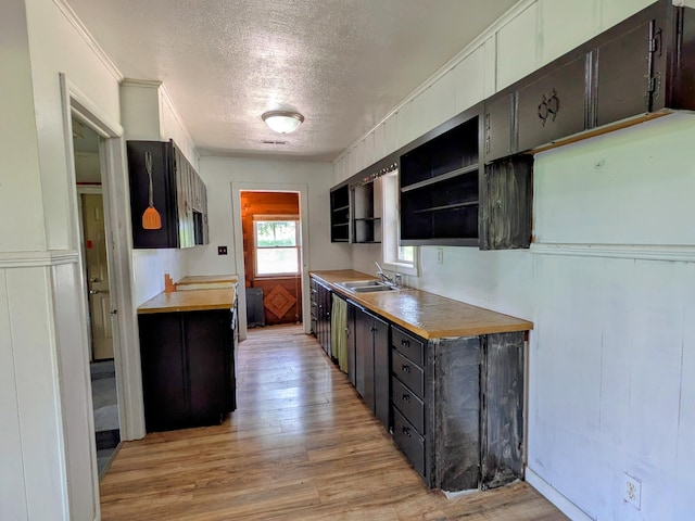 13802 E State Highway 76, Taneyville, MO 65759 - kitchen featuring a textured ceiling, light wood finished floors, light countertops, ornamental molding, and open shelves