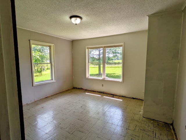 13802 E State Highway 76, Taneyville, MO 65759 - spare room with plenty of natural light and a textured ceiling
