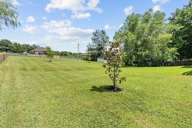2602 S 15th Ave, Ozark, MO 65721 - view of yard