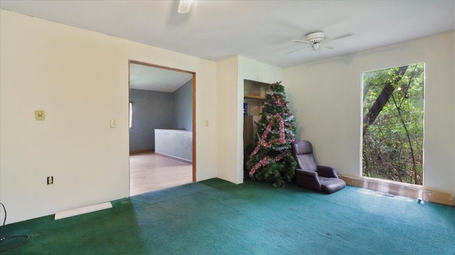 1647 County Road 1030, Willow Springs, MO 65793 - photo 17