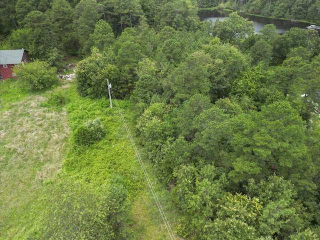 1647 County Road 1030, Willow Springs, MO 65793 - photo 28
