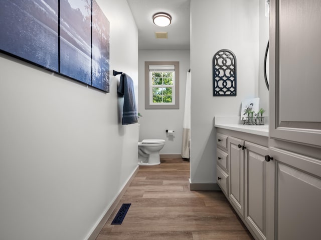 620 E Summit St, Bolivar, MO 65613 - bathroom featuring wood finished floors, vanity, and curtained shower