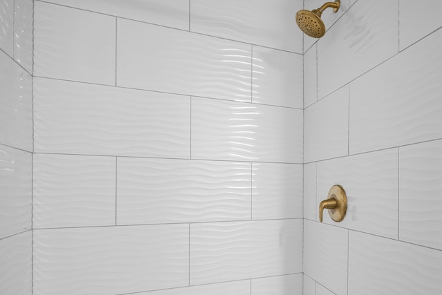 620 E Summit St, Bolivar, MO 65613 - bathroom view of tiled shower