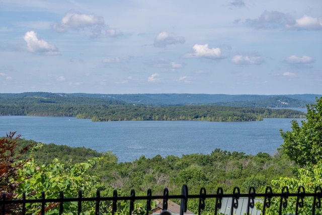 10 Patterson Ave, Branson, MO 65616 - water view featuring a forest