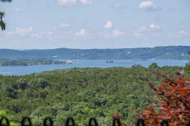 10 Patterson Ave, Branson, MO 65616 - water view with a heavily wooded area and a mountainous background