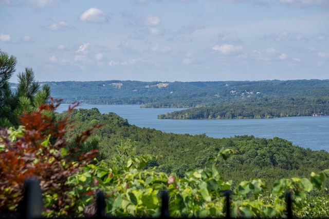 10 Patterson Ave, Branson, MO 65616 - water view featuring a forest
