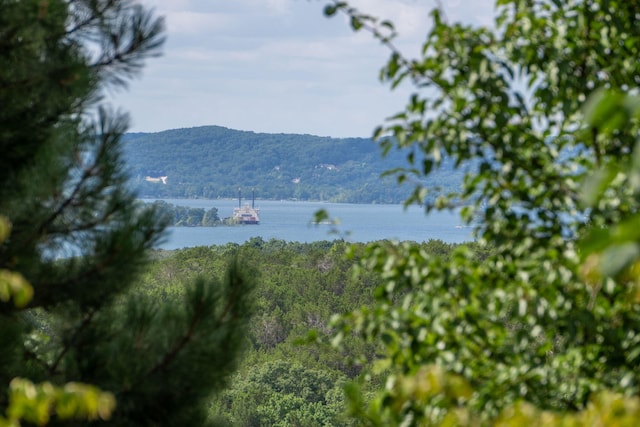 10 Patterson Ave, Branson, MO 65616 - view of mountain background with a nearby body of water