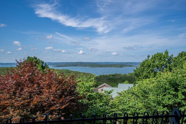 10 Patterson Ave, Branson, MO 65616 - water view