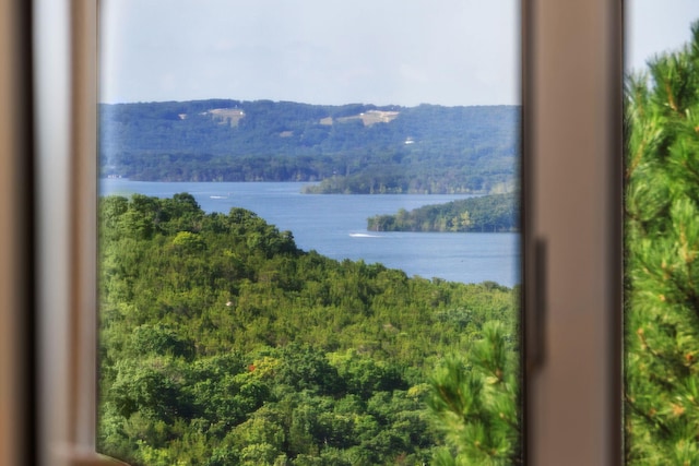 10 Patterson Ave, Branson, MO 65616 - water view featuring a forest