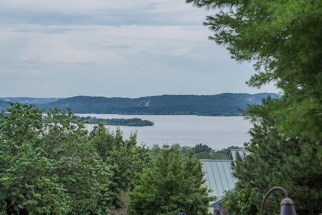 10 Patterson Ave, Branson, MO 65616 - mountain view with a nearby body of water