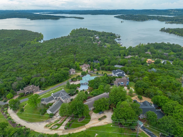 10 Patterson Ave, Branson, MO 65616 - aerial overview of property's location featuring a nearby body of water and a forest