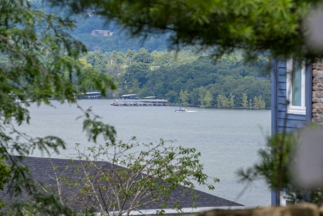 10 Patterson Ave, Branson, MO 65616 - water view featuring a forest