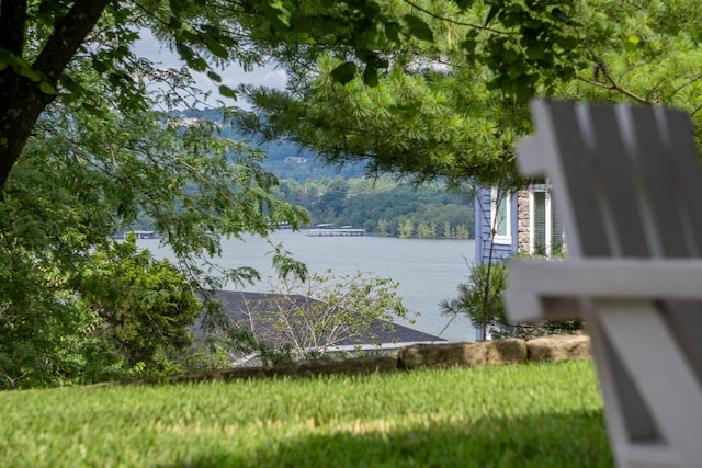 10 Patterson Ave, Branson, MO 65616 - water view