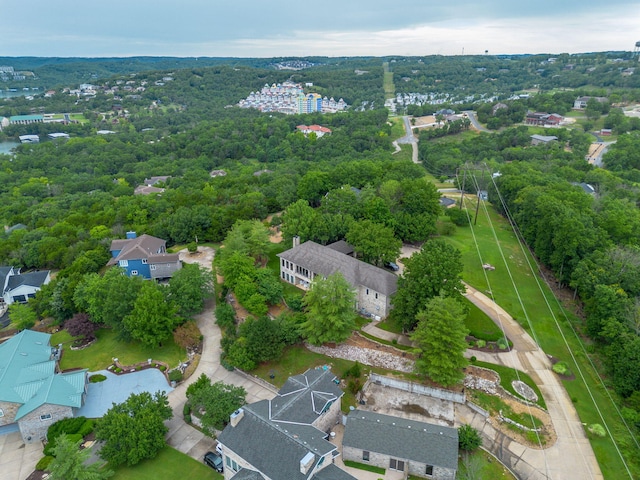 10 Patterson Ave, Branson, MO 65616 - aerial view of property and surrounding area