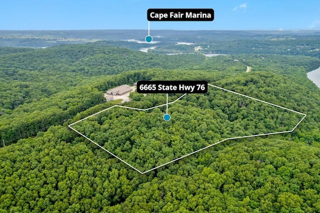 6665 State Highway 173, Cape Fair, MO 65624 - aerial view of property and surrounding area with a forest and property parcel outlined