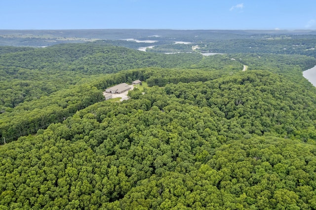 6665 State Highway 173, Cape Fair, MO 65624 - aerial view of a forest