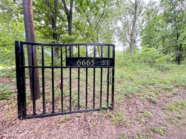 6665 State Highway 173, Cape Fair, MO 65624 - view of gate