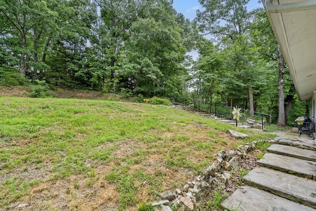 6665 State Highway 173, Cape Fair, MO 65624 - view of yard