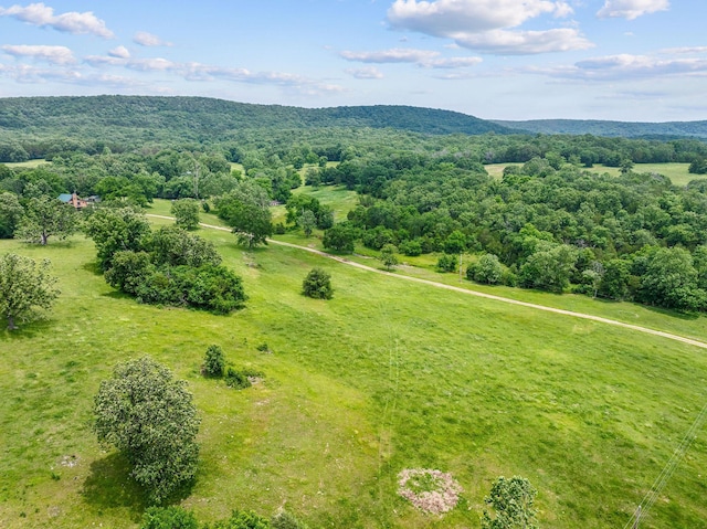 25032 Stallion Bluff Rd, Shell Knob, MO 65747 - photo 52