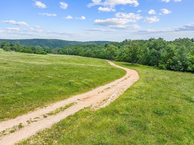 25032 Stallion Bluff Rd, Shell Knob, MO 65747 - photo 54