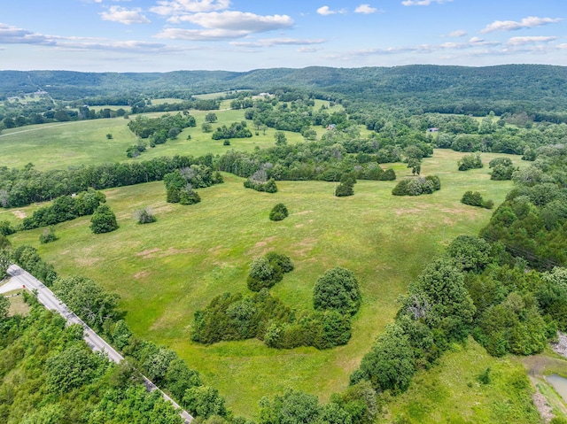 25032 Stallion Bluff Rd, Shell Knob, MO 65747 - photo 49