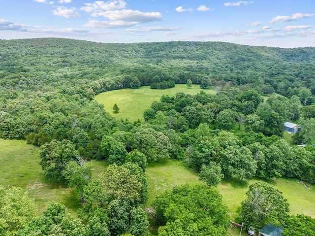 25032 Stallion Bluff Rd, Shell Knob, MO 65747 - photo 44