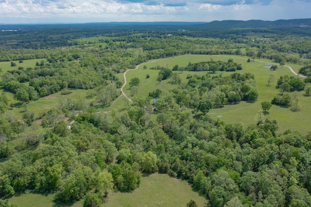 25032 Stallion Bluff Rd, Shell Knob, MO 65747 - photo 43