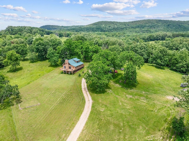 25032 Stallion Bluff Rd, Shell Knob, MO 65747 - photo 36