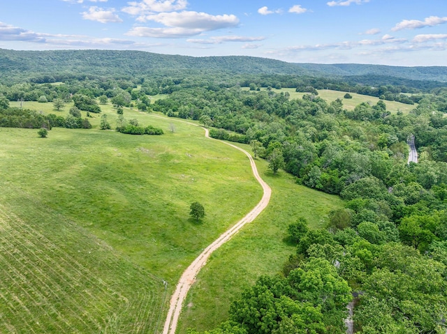 25032 Stallion Bluff Rd, Shell Knob, MO 65747 - photo 51