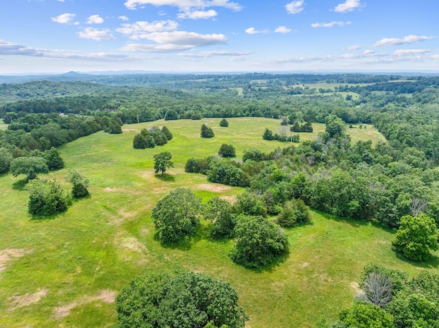 25032 Stallion Bluff Rd, Shell Knob, MO 65747 - photo 47