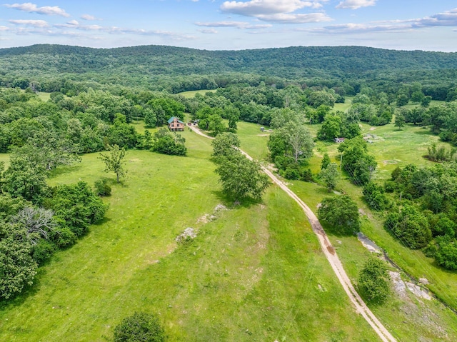 25032 Stallion Bluff Rd, Shell Knob, MO 65747 - photo 55
