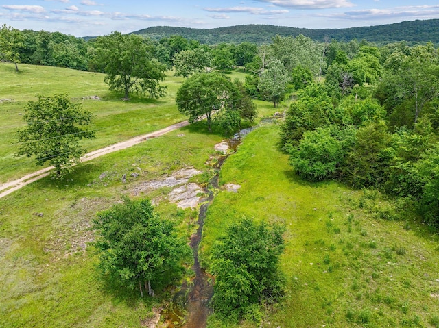 25032 Stallion Bluff Rd, Shell Knob, MO 65747 - photo 56
