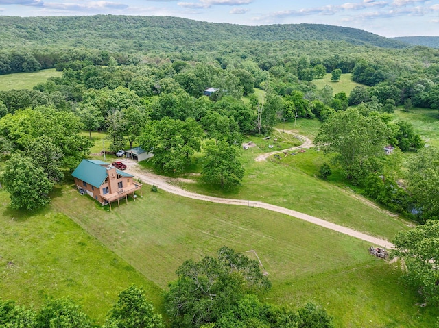25032 Stallion Bluff Rd, Shell Knob, MO 65747 - photo 53
