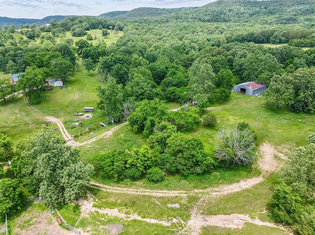 25032 Stallion Bluff Rd, Shell Knob, MO 65747 - photo 45