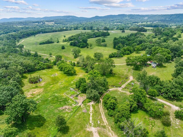 25032 Stallion Bluff Rd, Shell Knob, MO 65747 - photo 46