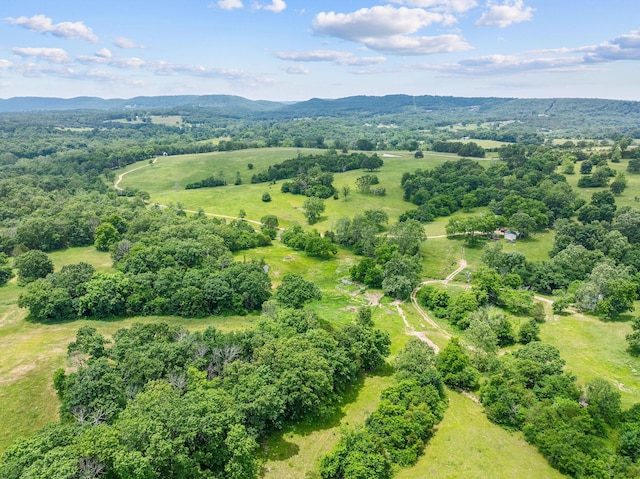 25032 Stallion Bluff Rd, Shell Knob, MO 65747 - photo 48