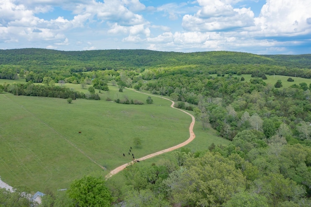 25032 Stallion Bluff Rd, Shell Knob, MO 65747 - photo 40