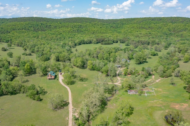25032 Stallion Bluff Rd, Shell Knob, MO 65747 - photo 42