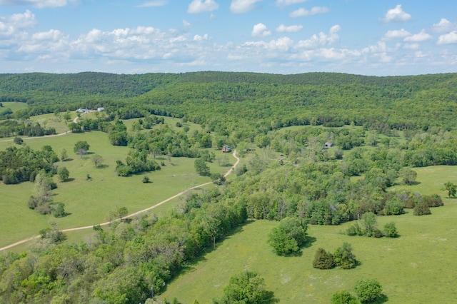 25032 Stallion Bluff Rd, Shell Knob, MO 65747 - photo 41