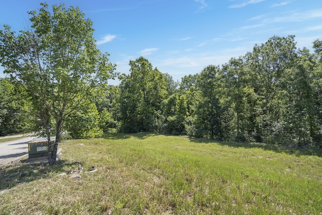 LOT19 Legends Ln, Hollister, MO 65672 - photo 3