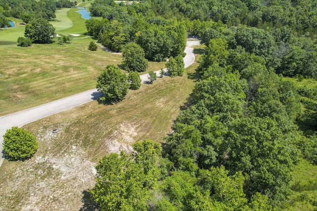 LOT19 Legends Ln, Hollister, MO 65672 - photo 11