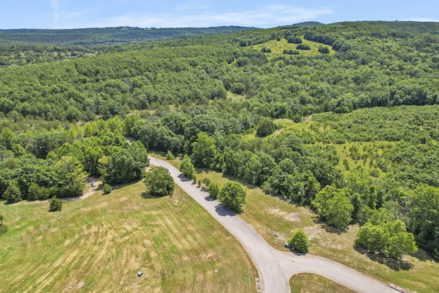 LOT19 Legends Ln, Hollister, MO 65672 - photo 12