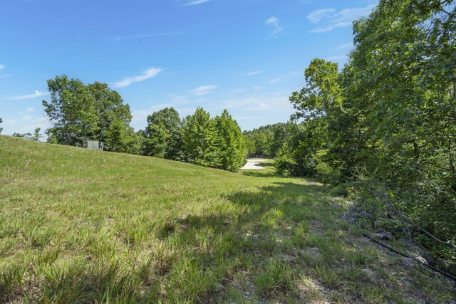 LOT19 Legends Ln, Hollister, MO 65672 - photo 4