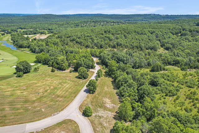 LOT19 Legends Ln, Hollister, MO 65672 - photo 10