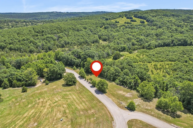 LOT19 Legends Ln, Hollister, MO 65672 - photo 13