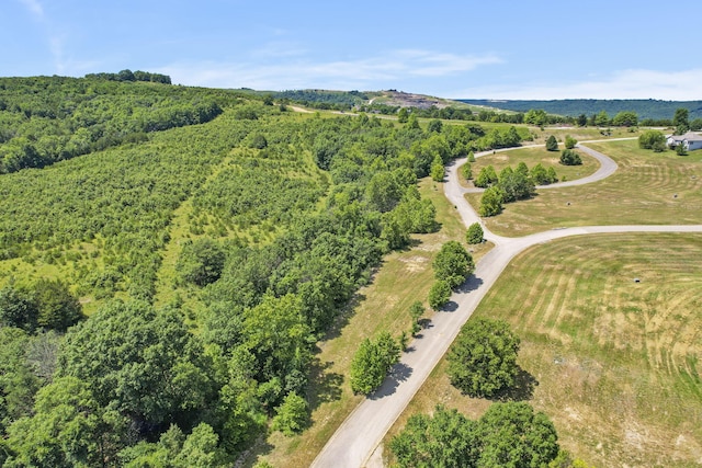 LOT19 Legends Ln, Hollister, MO 65672 - photo 14